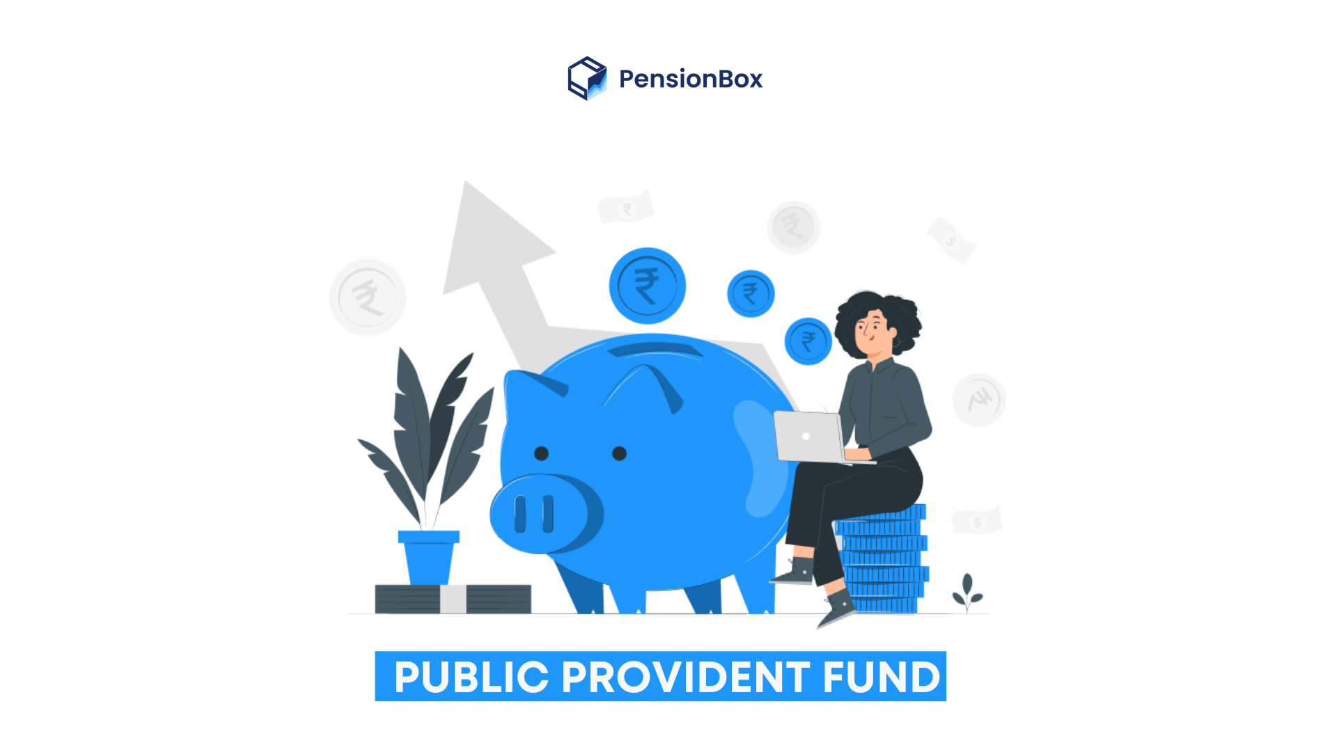 The Public Provident Fund